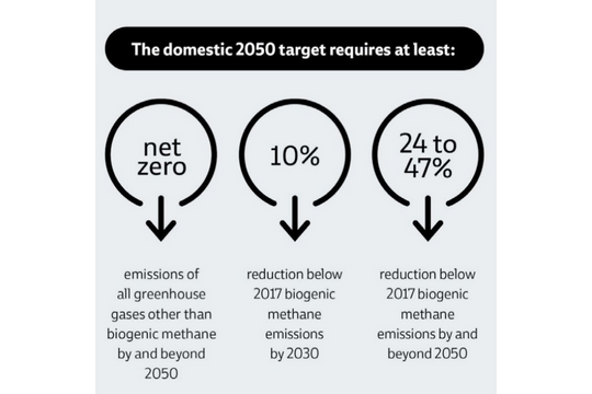 Diagram showing the three components of NZ's 2050 emissions reduction target